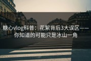 糖心vlog科普：花絮背后3大误区——你知道的可能只是冰山一角