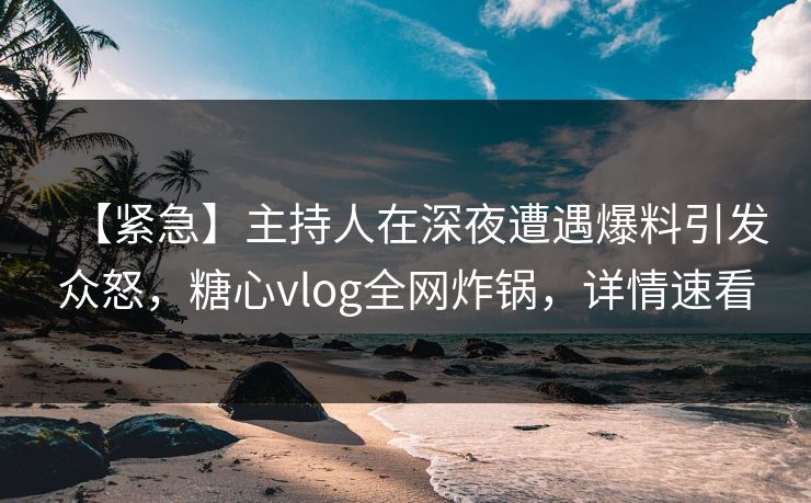 【紧急】主持人在深夜遭遇爆料引发众怒，糖心vlog全网炸锅，详情速看