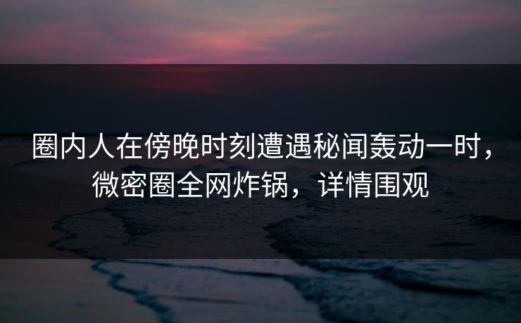 圈内人在傍晚时刻遭遇秘闻轰动一时，微密圈全网炸锅，详情围观