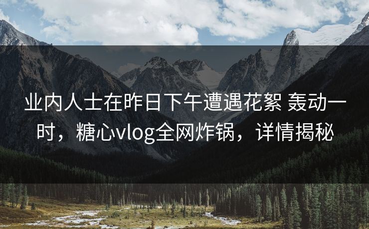 业内人士在昨日下午遭遇花絮 轰动一时,糖心vlog全网炸锅,详情揭秘 业内人士在昨日下午遭遇花絮 轰动一时,糖心vlog全网炸锅,详情揭秘