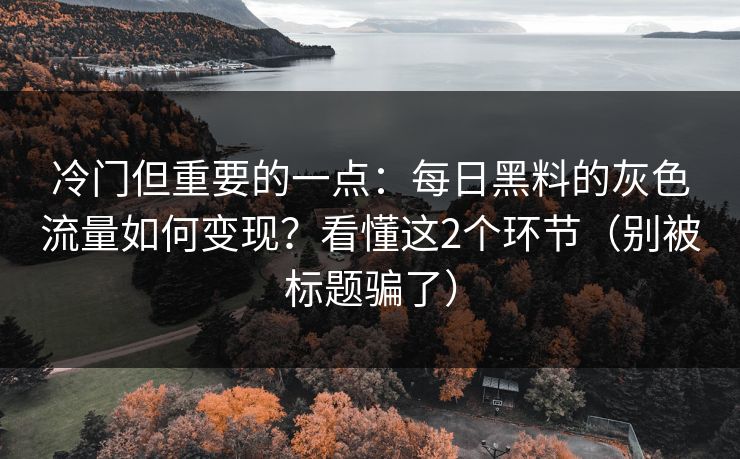 冷门但重要的一点：每日黑料的灰色流量如何变现？看懂这2个环节（别被标题骗了）